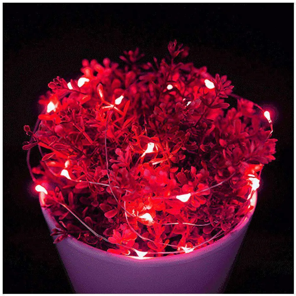 AMZER Fairy String Light 50 LED 5m Waterproof AA Battery Operated Festival Lamp Decoration Light Strip