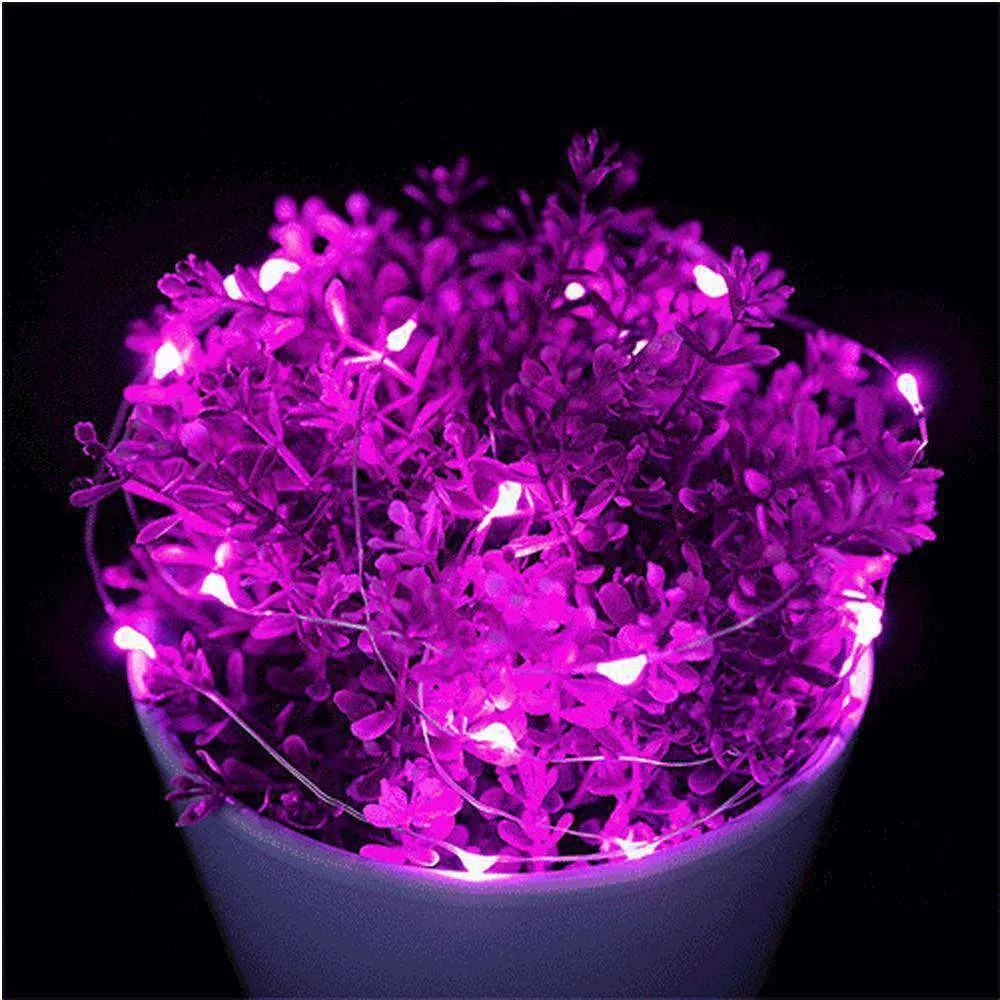 AMZER Fairy String Light 50 LED 5m Waterproof AA Battery Operated Festival Lamp Decoration Light Strip