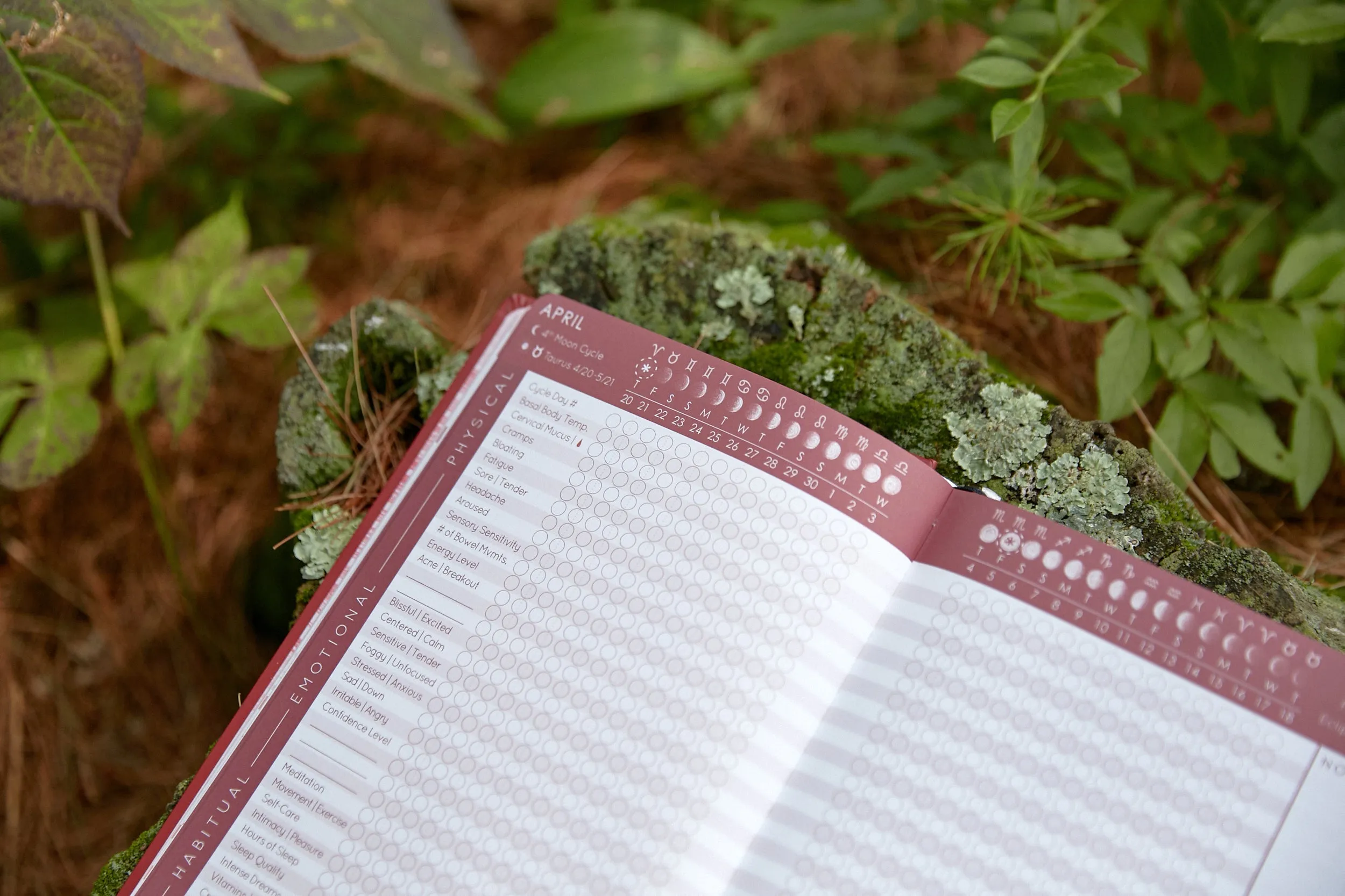 Cycles Journal® 2025: a Lunar Guide to Wholistic Cycle Awareness - more than just a Period Tracker