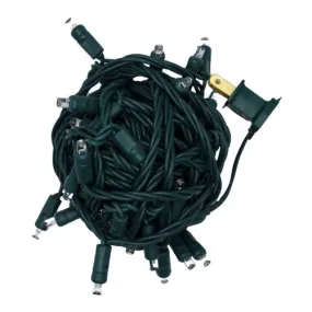 LED Mini Lights-Warm White 6" Spacing, 50 Lights