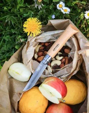 Pocket knive Opinel N°08 Stainless Steel