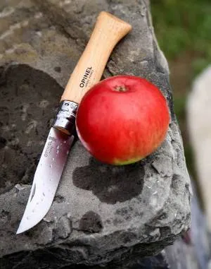 Pocket knive Opinel N°09 Stainless Steel