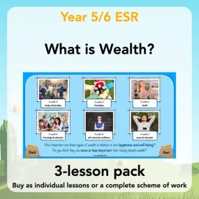 What is Wealth?