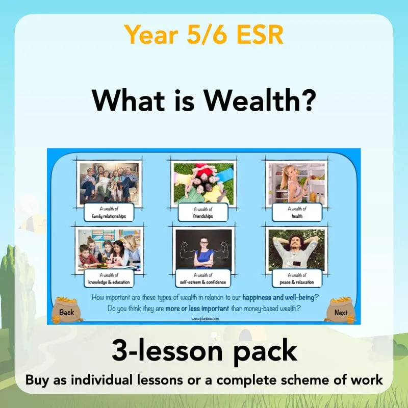 What is Wealth?