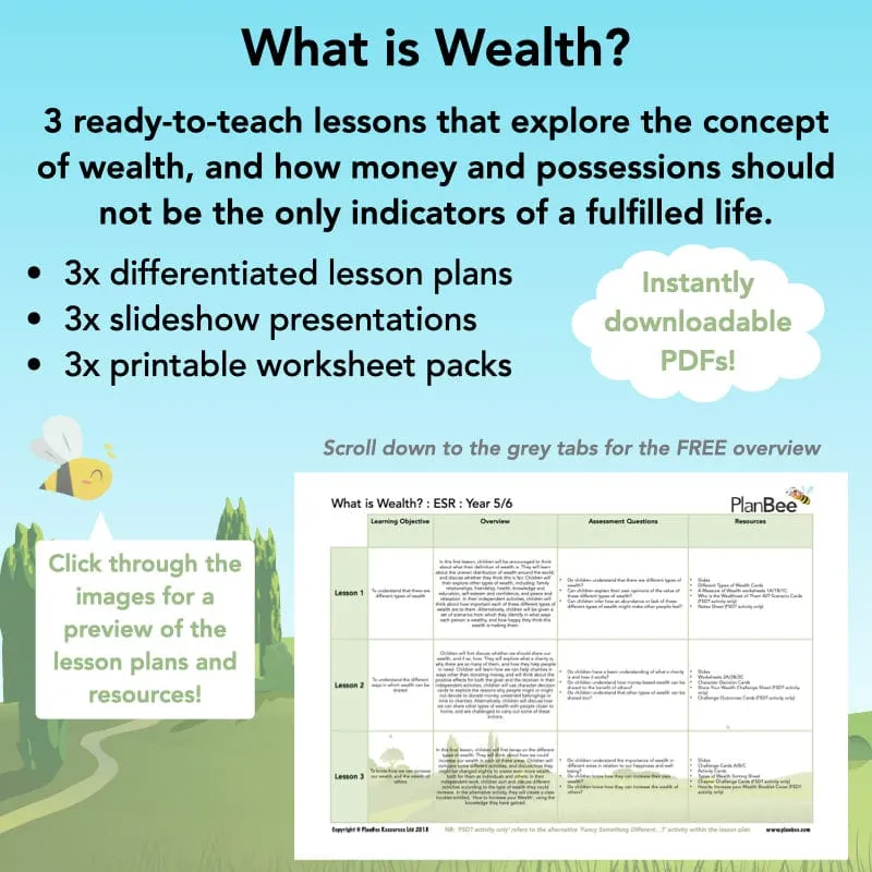 What is Wealth?